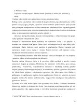 Veiklos sritimis pagristas išlaidų kalkuliavimas. Kursinis darbas 6 puslapis