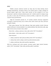 Vidaus audito analizė UAB “Vaisvandeniai” 2 puslapis