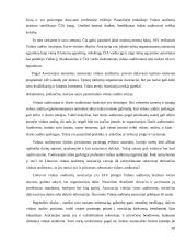 Vidaus audito analizė UAB “Vaisvandeniai” 20 puslapis