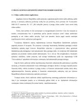 Vidaus audito analizė UAB “Vaisvandeniai” 3 puslapis