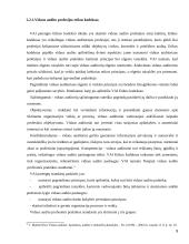 Vidaus audito analizė UAB “Vaisvandeniai” 9 puslapis