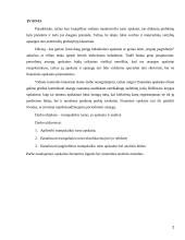 Trumpalaikis turtas 2 puslapis