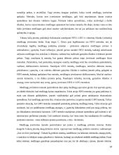 Trumpalaikis turtas 14 puslapis