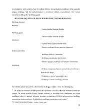 Trumpalaikis turtas 16 puslapis