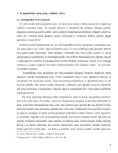 Trumpalaikis turtas 3 puslapis