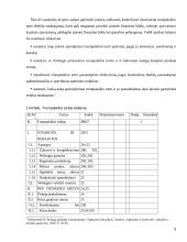 Trumpalaikis turtas 5 puslapis