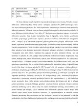 Trumpalaikis turtas 6 puslapis