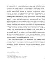 Trumpalaikis turtas 8 puslapis