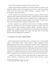 Trumpalaikis turtas 9 puslapis