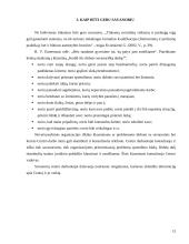 Savanoriško darbo organizavimo galimybės 13 puslapis
