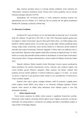 Alternatyvaus finansavimo šaltiniai 12 puslapis