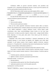 Alternatyvaus finansavimo šaltiniai 19 puslapis