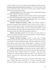 Alternatyvaus finansavimo šaltiniai 10 puslapis