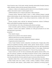 Bankų vaidmuo smulkaus ir vidutinio verslo plėtroje 11 puslapis