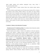 Bankų vaidmuo smulkaus ir vidutinio verslo plėtroje 6 puslapis