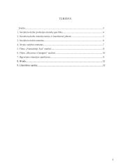 Socialinio darbo profesijos metodika 2 puslapis