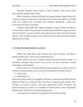 Būsto kreditavimo raida ir perspektyvos Lietuvoje 12 puslapis