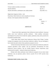 Būsto kreditavimo raida ir perspektyvos Lietuvoje 3 puslapis