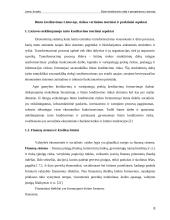 Būsto kreditavimo raida ir perspektyvos Lietuvoje 8 puslapis