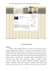 Strategijos analizė: apdailos ir statybinių medžiagų prekyba UAB "IRIS" 12 puslapis