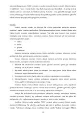 Strategijos analizė: apdailos ir statybinių medžiagų prekyba UAB "IRIS" 13 puslapis