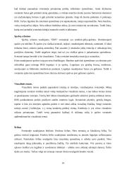Strategijos analizė: apdailos ir statybinių medžiagų prekyba UAB "IRIS" 14 puslapis