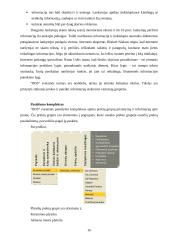Strategijos analizė: apdailos ir statybinių medžiagų prekyba UAB "IRIS" 16 puslapis