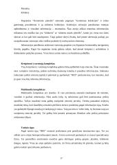 Strategijos analizė: apdailos ir statybinių medžiagų prekyba UAB "IRIS" 17 puslapis