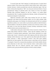 Strategijos analizė: apdailos ir statybinių medžiagų prekyba UAB "IRIS" 20 puslapis