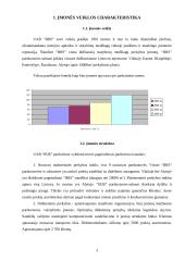 Strategijos analizė: apdailos ir statybinių medžiagų prekyba UAB "IRIS" 3 puslapis