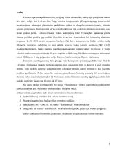 Komercinių bankų veiklos vertinimas 2 puslapis