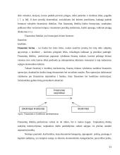 Komercinių bankų funkcijos 11 puslapis