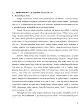 Komercinių bankų funkcijos 3 puslapis