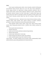 Lizingo kreditavimo plėtra 2 puslapis