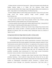 Lizingo kreditavimo plėtra 11 puslapis