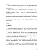 Lizingo kreditavimo plėtra 13 puslapis