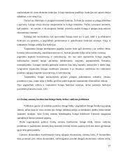 Lizingo kreditavimo plėtra 17 puslapis