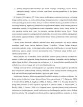 Lizingo kreditavimo plėtra 19 puslapis