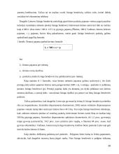 Lizingo kreditavimo plėtra 20 puslapis