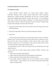 Lizingo kreditavimo plėtra 3 puslapis