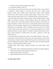 Lizingo kreditavimo plėtra 4 puslapis