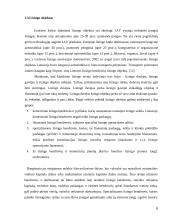 Lizingo kreditavimo plėtra 6 puslapis