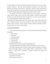 Lizingo kreditavimo plėtra 7 puslapis