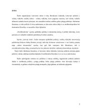 Valiutų vadyba Lietuvoje 2 puslapis