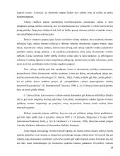 Valiutų vadyba Lietuvoje 14 puslapis