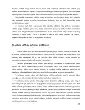 Valiutų vadyba Lietuvoje 18 puslapis