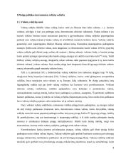 Valiutų vadyba Lietuvoje 3 puslapis