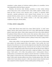 Valiutų vadyba Lietuvoje 7 puslapis