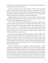 Valiutų valdyba Lietuvoje 19 puslapis