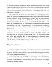 Valiutų valdyba Lietuvoje 20 puslapis